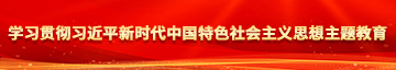 日逼性爱AV影视学习贯彻习近平新时代中国特色社会主义思想主题教育