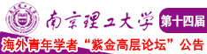 插操逼视频南京理工大学第十四届海外青年学者紫金论坛诚邀海内外英才！